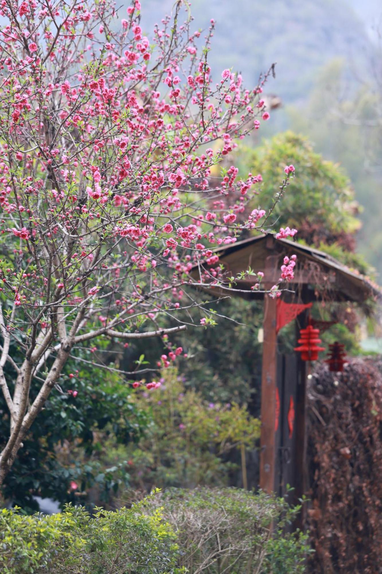 The Apsara Lodge Yangshuo Esterno foto
